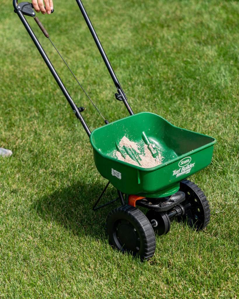 Lawn seed spreader