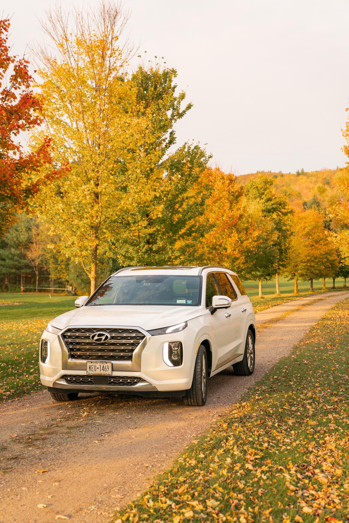 Hyundai Palisade Fall Vermont Car Review